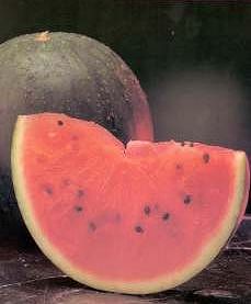 sandia