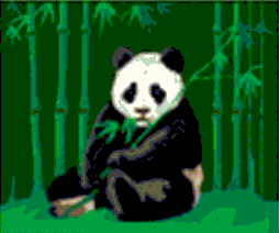 Oso panda