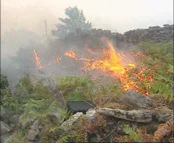 Incendios forestales