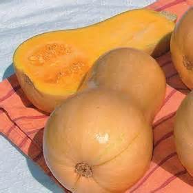 Propiedades de la calabaza