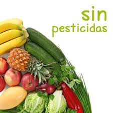 Ventajas de los alimentos organicos