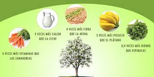 Propiedades de la moringa